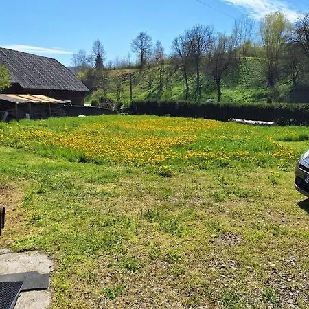 Refugiul Linistit Pentru Tine! Poienile Izei